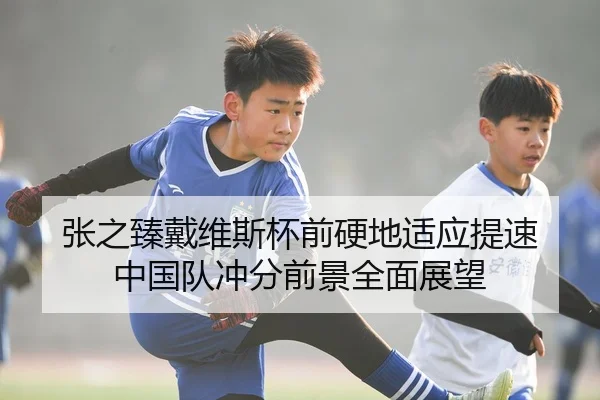 张之臻戴维斯杯前硬地适应提速 中国队冲分前景全面展望